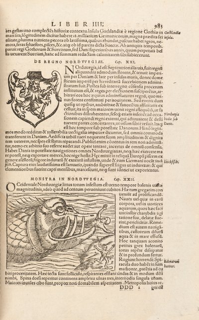1572年、バーゼルのSebastian MuensterによるCosmographiae Universalisの983ページ 作： Swiss School
