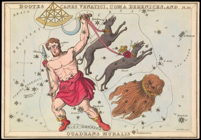 Bootes Canes Venatici, Coma Berenices and Quadrans Muralis, c.1825 (カード、紙、ティッシュ) 作： Sydney Hall