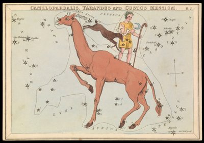 Camelopadalis, Tarandus and Custos Messium, 1825年頃（カード、紙、ティッシュ） 作： Sydney Hall