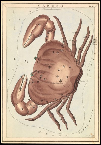 癌、1825年頃（カード、紙、ティッシュ） 作： Sydney Hall