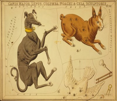 おおいぬ座、うさぎ、ノアの鳩、彫刻家のヴォールト、「ウラニアの鏡」のイラスト 作： Sydney Hall
