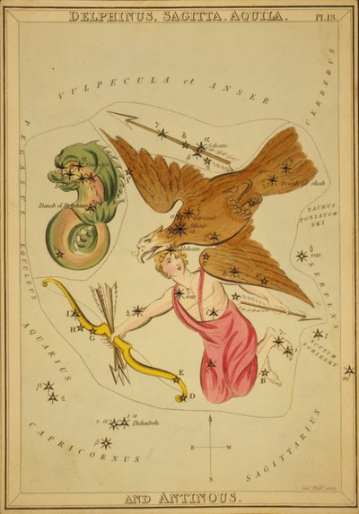 Delphinus、Sagitta、Aquila、Antinous、「ウラニアの鏡」のイラスト 作： Sydney Hall