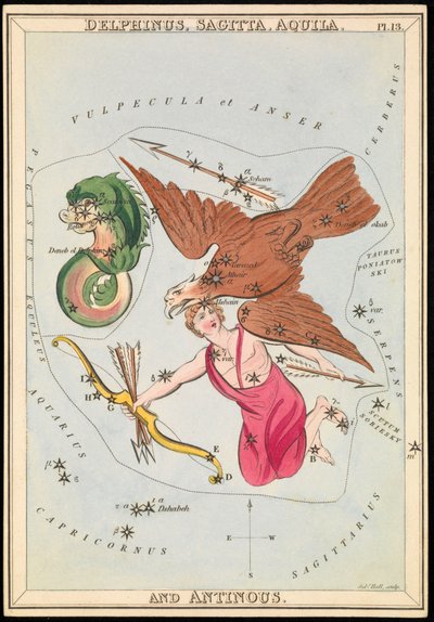 デルフィヌス、サジッタ、アキラとアンティノウス、1825年頃（カード、紙、ティッシュ） 作： Sydney Hall