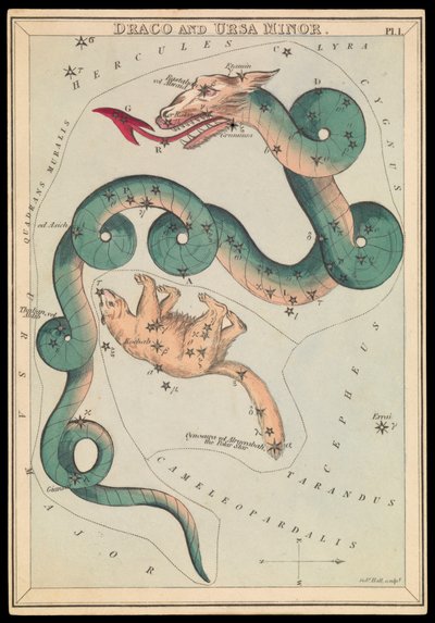 ドラコと小熊座 1825年頃 （カード、紙、ティッシュ） 作： Sydney Hall