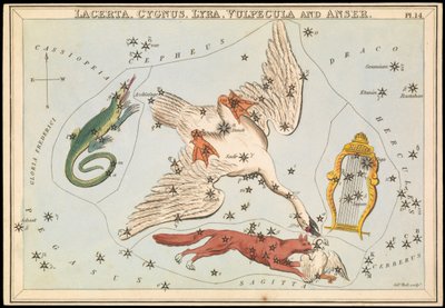 ラセルタ、はくちょう座、こと座、うお座、アンサー、1825年頃（カード、紙、ティッシュ） 作： Sydney Hall