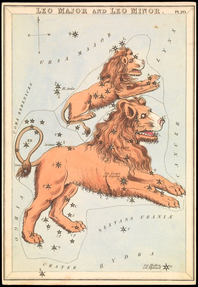 レオ・メジャーとレオ・マイナー、1825年頃（カード、紙、ティッシュ） 作： Sydney Hall