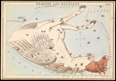 ペガサスとエクレウス、1825年頃（カード、紙、ティッシュ） 作： Sydney Hall