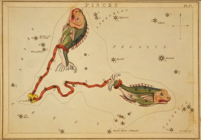 うお座、「ウラニアの鏡」のイラスト 作： Sydney Hall