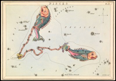 魚座 1825年頃 （カード、紙、ティッシュ） 作： Sydney Hall