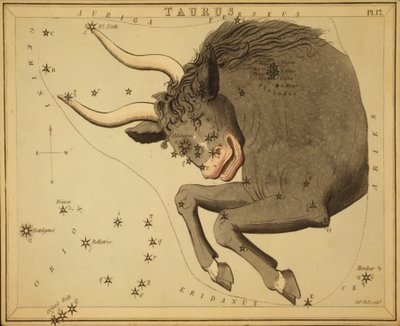 おうし座、「ウラニアの鏡」のイラスト 作： Sydney Hall