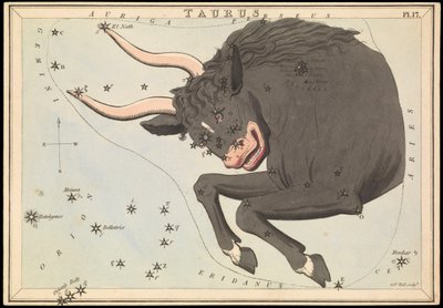 おうし座、1825年頃（カード、紙、ティッシュ） 作： Sydney Hall