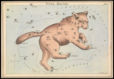 おおぐま座、1825年頃（カード、紙、ティッシュ） 作： Sydney Hall