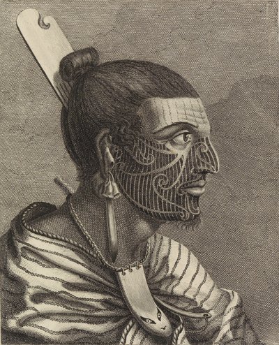 髪に櫛を差したニュージーランド人の頭部。 作： Sydney Parkinson