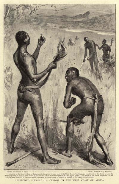 借りられたプルーム、アフリカの西海岸の習慣 作： Sydney Prior Hall