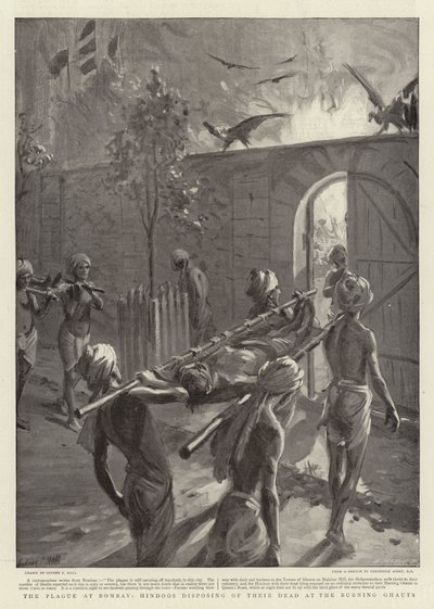 Hindoos、Bombayでのペスト、Burning Ghautsでの死者の処分 作： Sydney Prior Hall