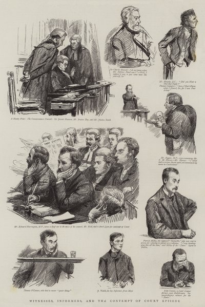 目撃者、情報提供者、および法廷エピソードの侮辱 作： Sydney Prior Hall