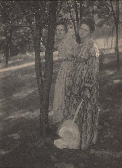 森の中で,c.1899年（写真） 作： T. M. Edmiston