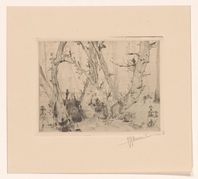 フォレストビュー 作： T. Sterrenburg (signed by artist)