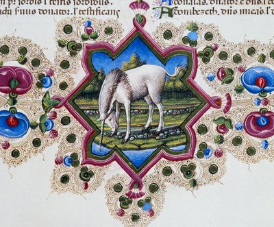 ユニコーンが描かれたページの足元のボーダーフリーズ、第2巻 f 245, v, ボルソ・デステの聖書、Taddeo Crivelli (1425-1479)とアシスタント、ラテン語原稿。 作： Taddeo Crivelli