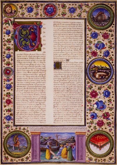 Taddeo Crivelli (1425-1479)らが彩色したBorso d