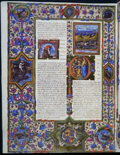 ボルソ・デステの聖書の第一巻にある「ソロモンの譬え」のインシピット 作： Taddeo Crivelli