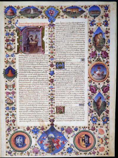 Taddeo Crivelli (1425-1479)らが彩色したBorso d