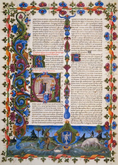 Taddeo Crivelli (1425-1479)らが彩色したBorso d