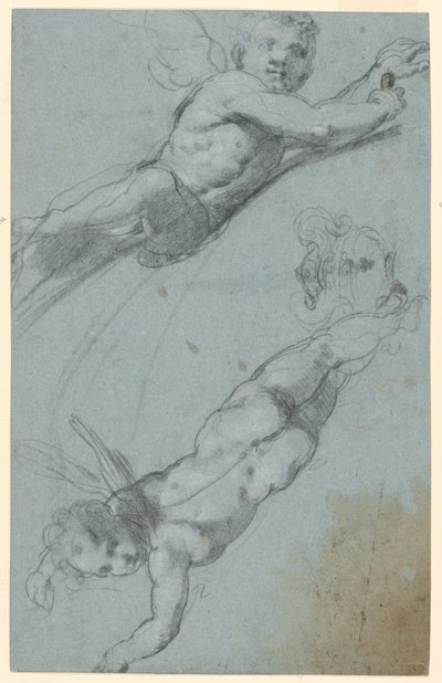 2 つの翼のあるプッティと壷のスケッチ 作： Taddeo Zuccaro
