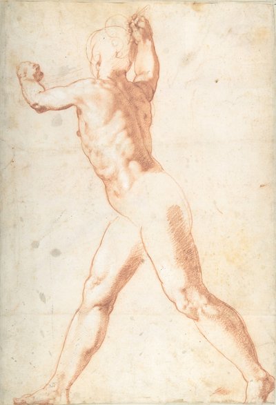 Standing Nude Man recto、兵士の 3 つの習作 verso、1550 年。 作： Taddeo Zuccaro