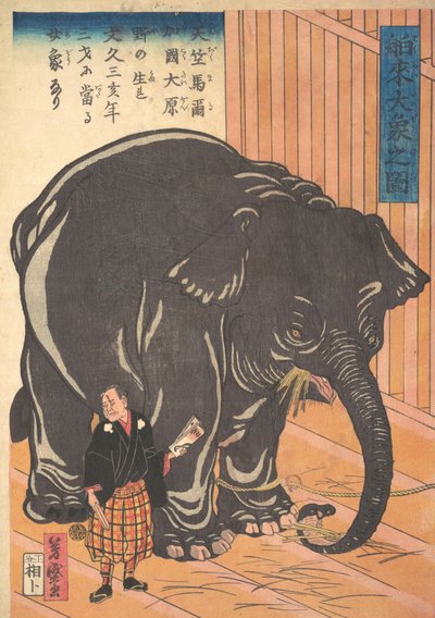 大型輸入象の眺め、1863 文京 3、4 月。 作： Taguchi Yoshimori
