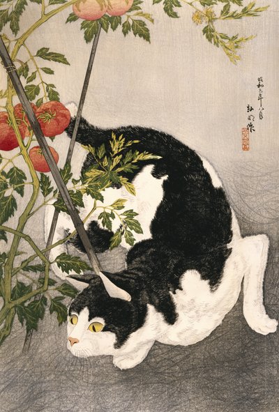 賭けられたトマト植物の周りをうろついている猫、1931（木版画） 作： Takahashi Hiroaki