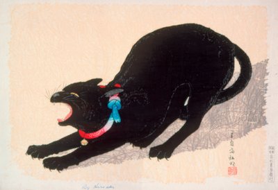 ヒスを起こす黒猫 作： Takahashi Hiroaki