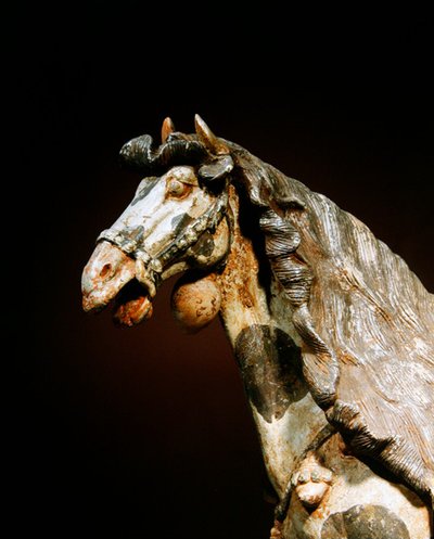 馬の細部 7世紀後半～8世紀前半 顔料と金彩の痕跡がある土器 作： Tang Dynasty Chinese School