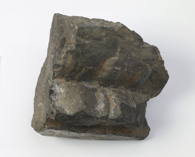 蓮の台座の断片 作： Tang Dynasty Chinese School