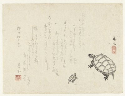 2匹のカメ 作： Tani Bunji