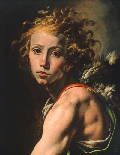 ダビデ像（「ゴリアテの頭を持つダビデ」の細部）、タンツィオ・ダ・ヴァラッロ（1575-1635）作 作： Tanzio da Varallo