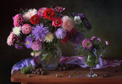 鮮やかなアスターの静物画 作： Tatyana Skorokhod