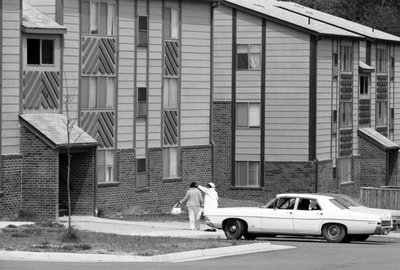 ヴァージニア州農村部における新しい低所得者向け住宅。 作： Ted Spiegel