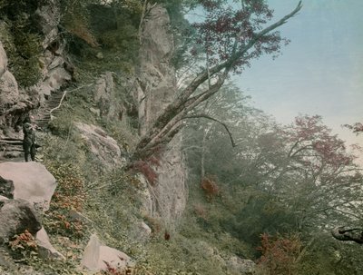 1900～1915年頃、日光華厳の滝への道にて（写真）。 作： Teijiro Takagi