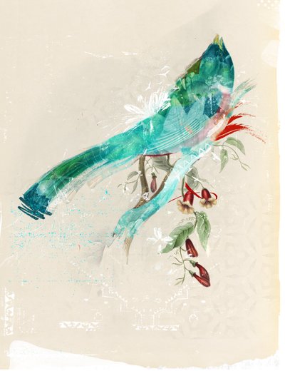 鳥のシルエット、2017年（キャンバスにコラージュ） 作： Teis Albers