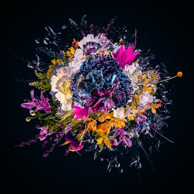 ブーケIII、2018年（キャンバスにコラージュ） 作： Teis Albers