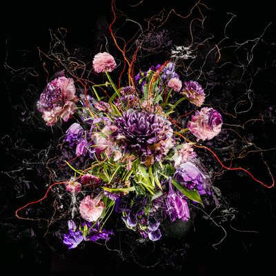 ブーケIV、2017年（写真） 作： Teis Albers