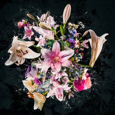 花束VIII、2018年（写真） 作： Teis Albers
