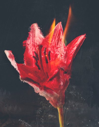 Combust、2019年（キャンバスに混合メディア） 作： Teis Albers