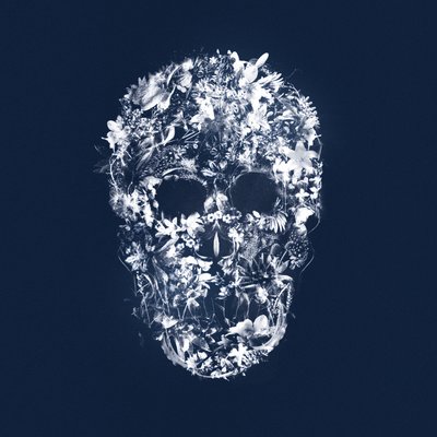 FloralSkull、2018年（キャンバスにミクストメディア） 作： Teis Albers