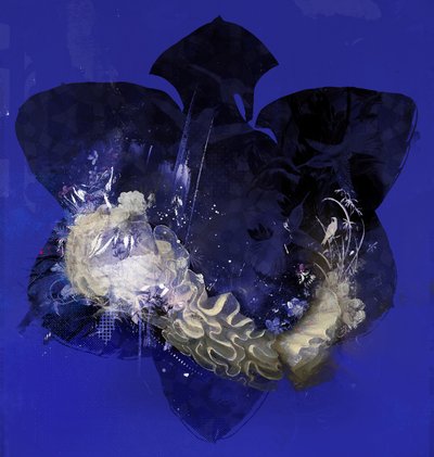 Floralcollar、2016 (キャンバスにミクスト メディア) 作： Teis Albers