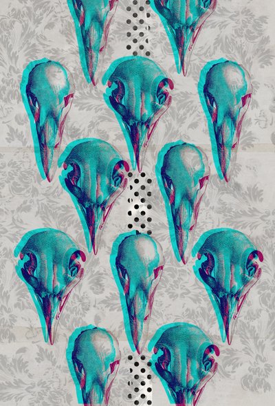 Série de Caveiras, 2016 (Colagem sobre tela) 作： Teis Albers