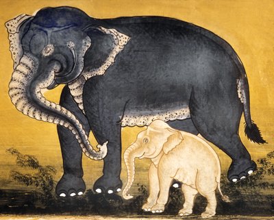 象と子牛、象の訓練に関する原稿のページ（紙にトイレ） 作： Thai School