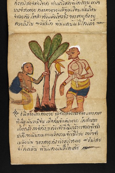 または。 16482、f.21「サトラ」  幸せで健康的な生活を送るための占いとアドバイスについて（紙折り本） 作： Thai School