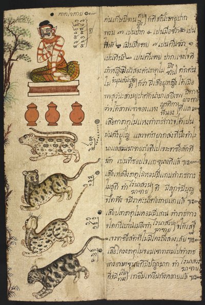 または 4830 「タイの占いマニュアル (Phrommachat)、干支に基づく星占いを含む」 (紙にインクとカラー) 作： Thai School